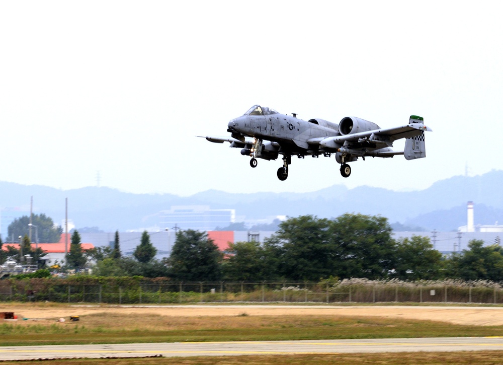 Close-up view of A-10 Thunderbolt II nose section showing the 30mm GAU-8 Avenger cannon