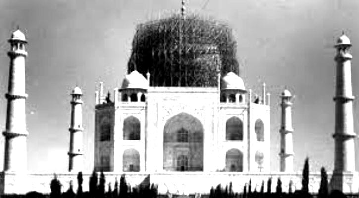 Taj Mahal Bamboo Dsiguise