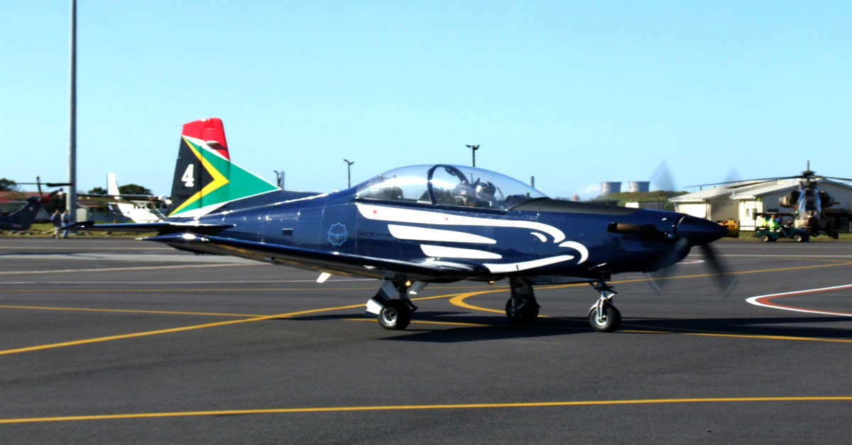 South African Silver Falcon