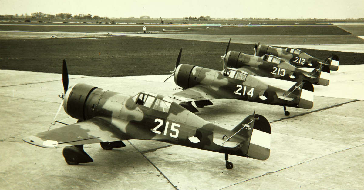 Fokker D.XXI - WW2 Planes