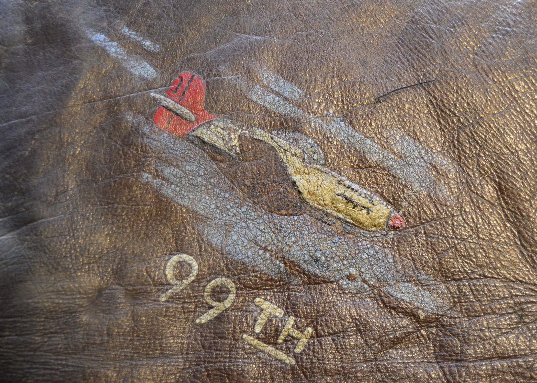 Tuskegee Airman Flight Jacket