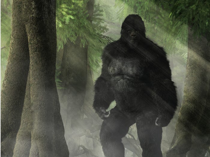 Vietnam Rock Ape drawing