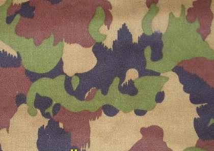 TAZ_90_ Camouflage
