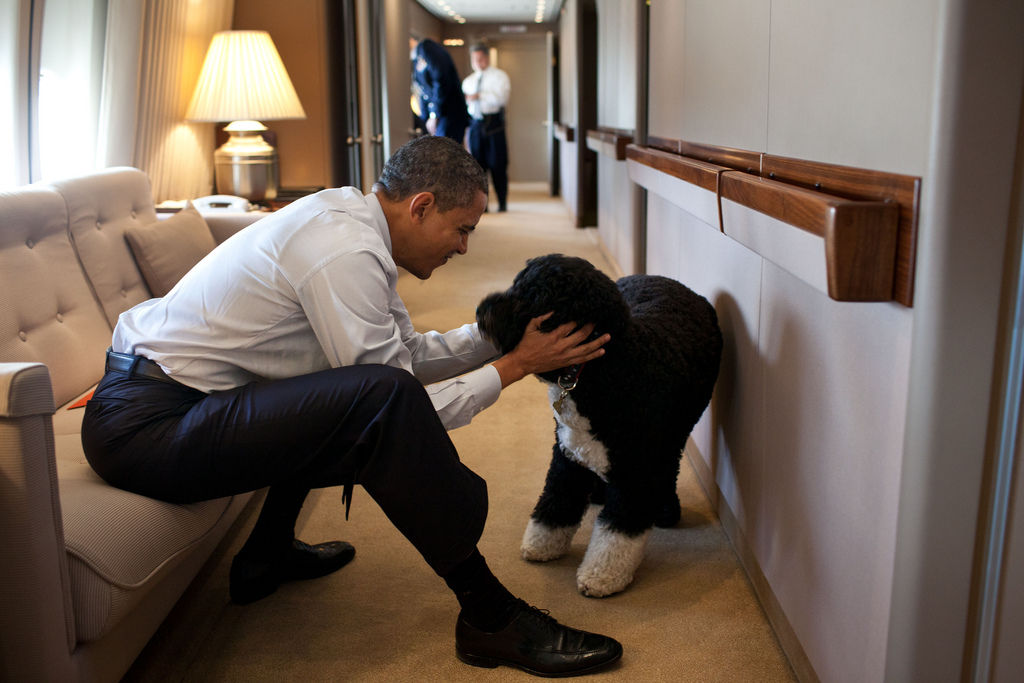 Barack Obama with dog, Bo